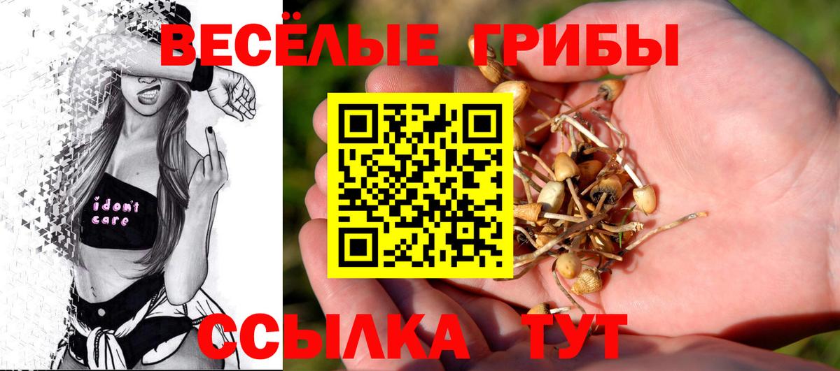 Псилоцибиновые грибы мицелий  Вход с VPN  Кушва 